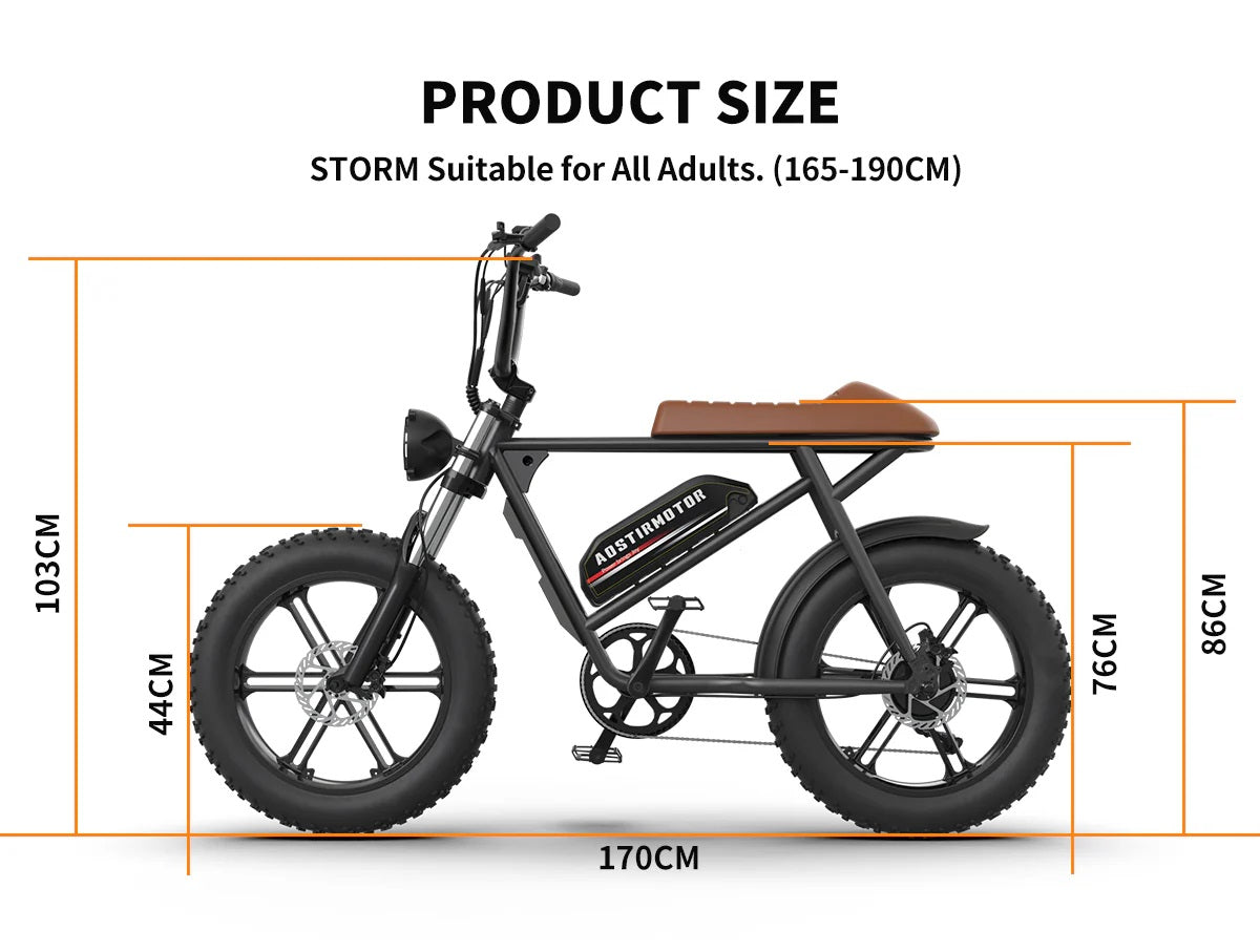 AOSTIRMOTOR STORM 750W Electric Bike