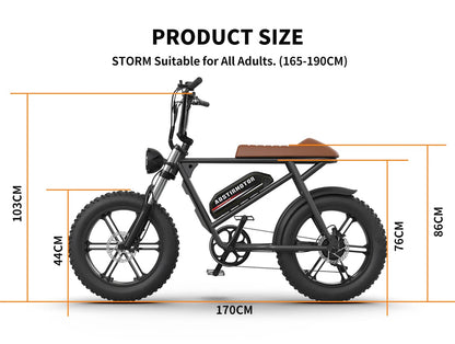 AOSTIRMOTOR STORM 750W Electric Bike