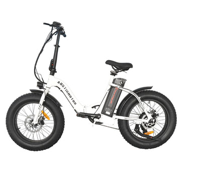 AOSTIRMOTOR G20 Low Step Fat Tire 500W