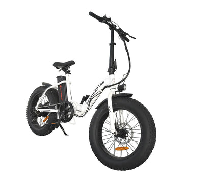 AOSTIRMOTOR G20 Low Step Fat Tire 500W