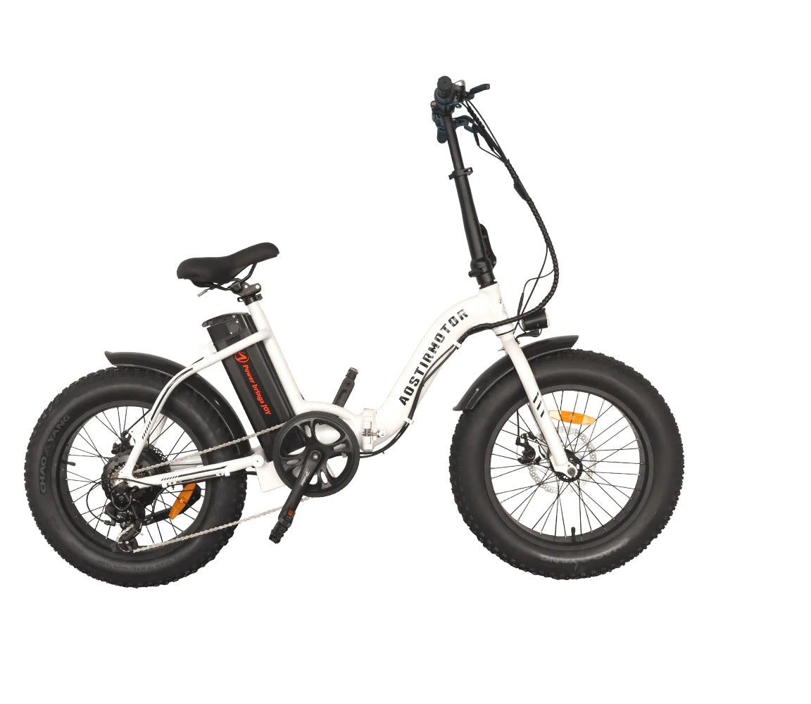 AOSTIRMOTOR G20 Low Step Fat Tire 500W