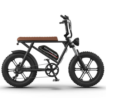 AOSTIRMOTOR STORM 750W Electric Bike