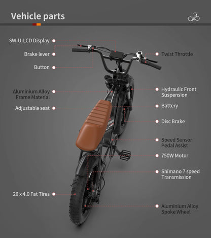 AOSTIRMOTOR STORM 750W Electric Bike